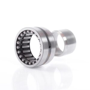 Cuscinetto NKIA5913